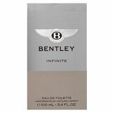 Bentley Infinite toaletna voda 100 ml za moške | Shoptok.si