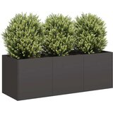 vidaXL Planter Black 120x40x40 cm Hladno valjano jeklo Cene