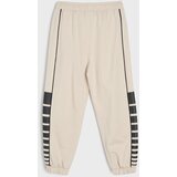 Sinsay Jogger trenirka hlače Le Mans | shoptok.hr