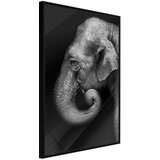  Poster - Wisdom 20x30 | shoptok.hr