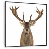 Klarstein wonderwall air art smart, infrardeč grelnik, jelen, 60 x 60 cm, 350 w | Shoptok.si