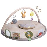 Taf Toys gimnastika | Eponuda.com