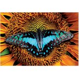 Puzzle 250 KOM COLORFUL NATURE 2 BUTTERFLY INTERDRUK | Shoptok.si