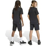 Adidas Športne hlače 'TR-ES' črna / bela | Shoptok.si