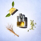 Azzaro Wanted toaletna voda za muškarce 100 ml | shoptok.hr