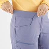 Salomon Wayfarer šorc | Eponuda.com
