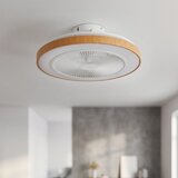 Brilagi LED prigušiva plafonski ventilator LED/38W/230V 50 cm bela/smeđa + daljinski upravljač | Eponuda.com