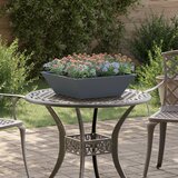 vidaXL kovinski sadilnik Antracit Kovina 50 x 50 x 15 cm | Shoptok.si
