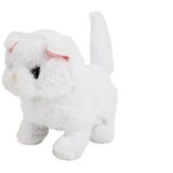 White Persian Cat Walks Wags Its Tail on Batteries | shoptok.hr