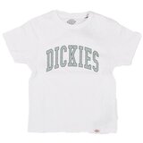 Dickies DK0A4Z8O Bijela | shoptok.hr