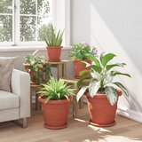  Saksije za biljke 6 pcs Crvena cigla Ø 34 x 28 cm Plastika | Eponuda.ba