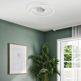 Fischer & Honsel led stropna svetilka z daljinskim upravljalnikom/zatemnitvena v srebrni barvi holy | Shoptok.si