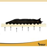  Purlov ortopedski ležaj za pse M 80x65 cm – pjenasti madrac i skidiva navlaka | shoptok.hr