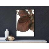  Poster - Burgundy Tilia Leaf 20x30 | shoptok.hr