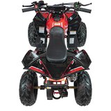 Ramiz Otroški štirikolesnik RENEGADE HIPERFECT 110CC rdeča | Shoptok.si