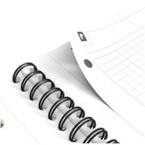 Blok KOLEGIJ A4 KARO 80L PERFORACIJA PLUS 4RUPE INTERNATIONAL NOTEBOOK OXFORD 100103664 | shoptok.hr