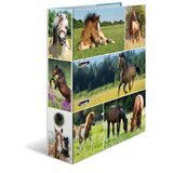Herma registrator Animals, A4, 70 mm, konji pkhk579jnv2p | Shoptok.si