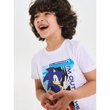 Sinsay Paket od 2 pamučne dvodijelne pidžame s printom Sonic the Hedgehog | shoptok.hr