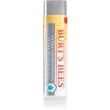 Burt's Bees ultra Conditioning Lip Balm Cijene