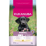 Eukanuba Premium Nutrition Puppy Large & Giant Breed piletina – 3 kg | shoptok.hr