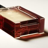 Hermès Terre d’parfumska voda intense za moške 100 ml | Shoptok.si