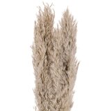 Eglo 428083 - Sušeni cvet GUIPOS 55 cm bež | Eponuda.com