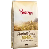 Purizon Ekonomično pakiranje Adult s pražitaricama 2 x 6,5 kg - Piletina i riba