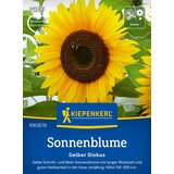 KIEPENKERL Sončnica "Gelber Diskus" - 1 pkt. Cene
