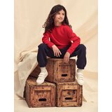 Fruit Of The Loom Red Sweat | shoptok.hr