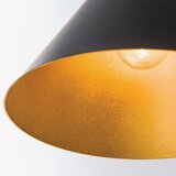Orion Luster na sajli GUNDA 1xE27/60W/230V Ø 25 cm crna/zlatna | Eponuda.com