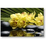  Slike na platnu feng shui (moderne slike na platnu) | ePonuda.com