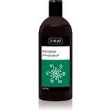Ziaja Family Shampoo šampon protiv peruti 500 ml | shoptok.hr