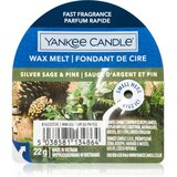 Yankee Candle Silver Sage & Pine vosek za aroma lučko 22 g | Shoptok.si