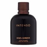 Dolce & Gabbana Pour Homme Intenso parfumirana voda za moške 125 ml | Shoptok.si