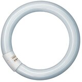 Osram Fluorescentna žarulja (T9, Hladna bijela, 40 W, Duljina: 40 cm) | shoptok.hr