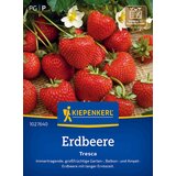 KIEPENKERL Jagode "Fresca" - 1 pkt. | Shoptok.si