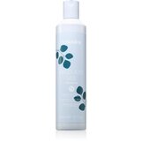 EchosLine Frequent use Shampoo šampon za vsakodnevno umivanje las 300 ml | Shoptok.si