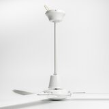  ZEVENTI - Plafonski ventilator TOFINO, beo | Eponuda.com