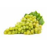  GROŽĐE BELO UVOZ | Eponuda.com