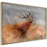  Poster - Rut 90x60 Cijene