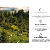 Agnella Sivi vuneni tepih 133x190 cm Tizo – | shoptok.hr