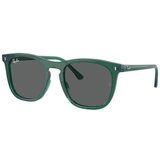 Ray-ban Naočare za sunce RB 2210 6615B1 Cene