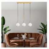 Opviq tulıp 13825 zlatni luster | ePonuda.com