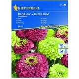 KIEPENKERL Profi-Line Cvetlična semena Cinija Red & Green Lime (Zinnia elegans, Rdeča, Zelena) | Shoptok.si