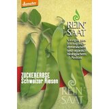 ReinSaat Snežni grah "švicarski velikani" Cene