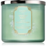 Bath & Body Works Cedar & Suede dišeča sveča 411 g Cene