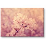  Slike na platnu cveće (moderne slike na platnu) | ePonuda.com