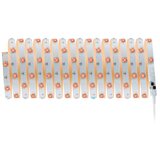 PAULMANN 3989 - LED RGBW/19W prigušiva traka TIP 10 m 230V + daljinski upravljač | Eponuda.com