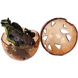  Dinosaur Figurine Egg 3 Colors 9 cm | shoptok.hr