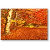  Slike na platnu drveće (moderne slike na platnu) | ePonuda.com